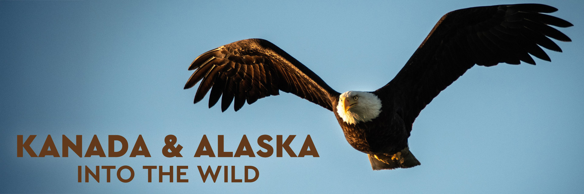 KANADA & ALASKA – Into the Wild